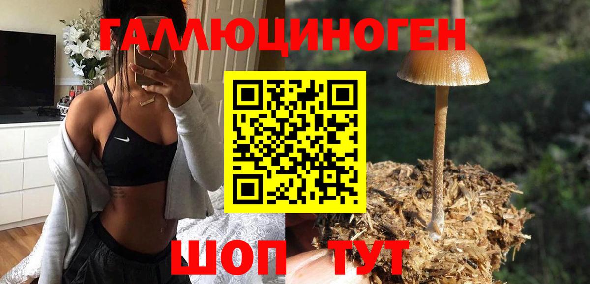 Троицк  Галлюциногенные грибы мицелий  Вход с VPN 